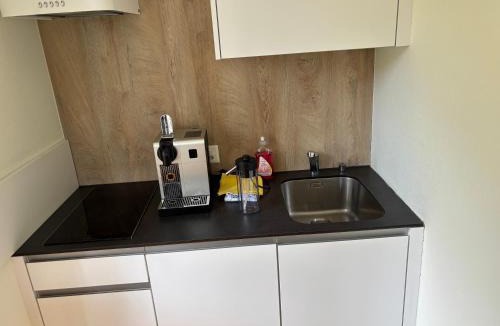 Inden Apartment | Hotel des Alpes