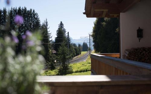 Saanenmoeser Hotel | Hotel des Alpes Superieur