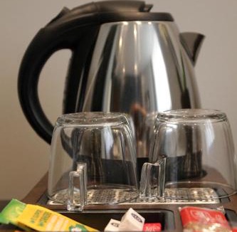 Aix-les-Bains City Center Hotel | Hotel des Eaux