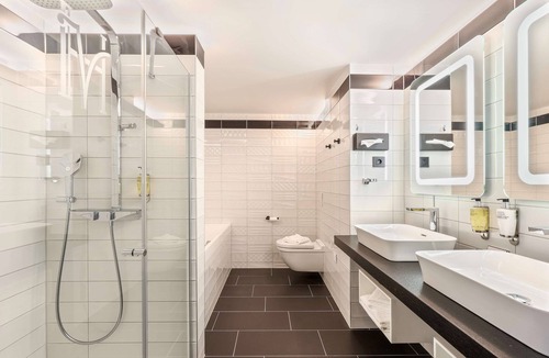 Strasbourg Hotel | Hotel des Vosges, BW Premier Collection