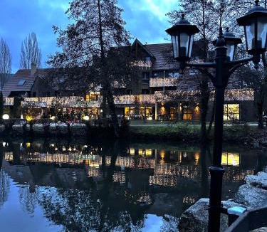 Guebwiller Hotel | Hotel Du Lac