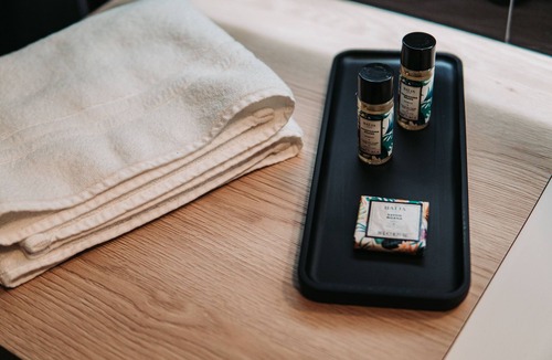 Delemont Hotel | Hotel du Midi