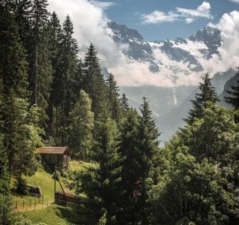 Wengen Hotel | Hotel Edelweiss