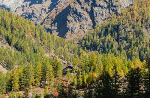 Blatten Hotel | Hotel Fafleralp