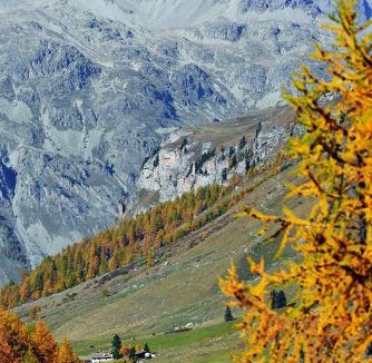 Sils im Engadin-Segl Hotel | Hotel Fex