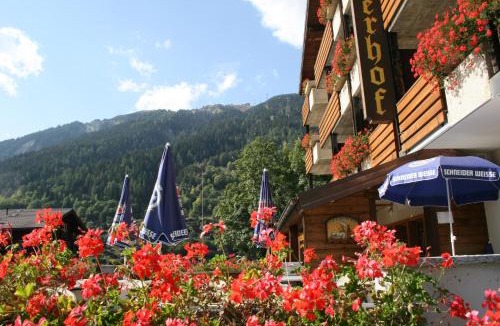Fiesch Hotel | Hotel Fiescherhof
