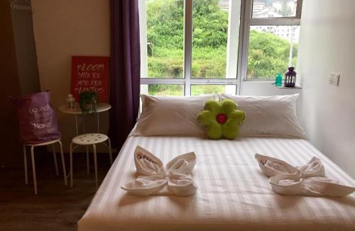 Brinchang Hotel | Hotel Flora Plus