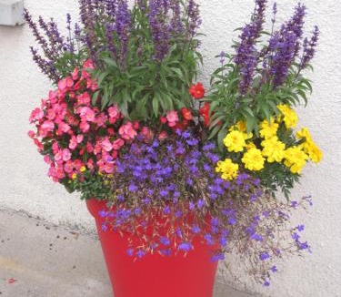 Saint-Martin-sous-Vigouroux Hotel | Hotel De La Poste