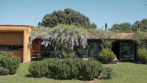 Ventallo Bed & Breakfast | Hotel Fundació L'Olivar