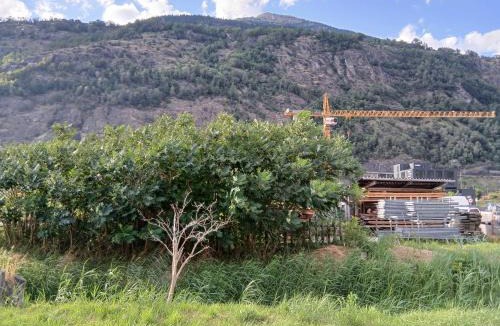 Brig Hotel | Hotel Garni
