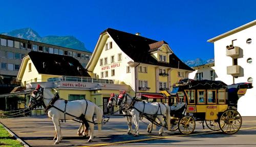 Altdorf Hotel | Hotel Höfli