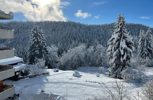Waldhaus Flims Apartment | Hotel Haus am Waldrand