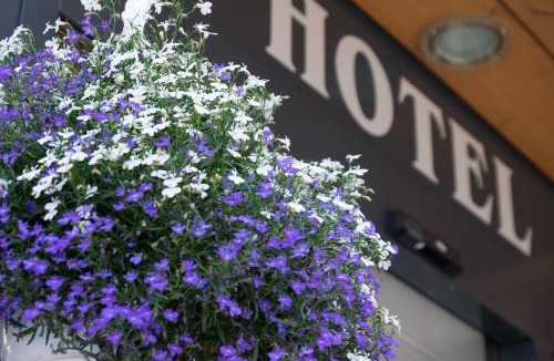 Grindelwald Hotel | Hotel Hirschen - Grindelwald