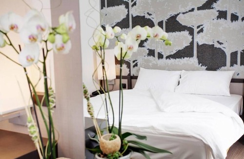 Bellinzona Hotel | Hotel Internazionale Bellinzona