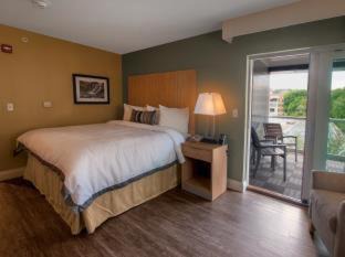 Ithaca Hotel | Hotel Ithaca