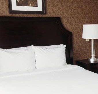 Downtown Dubuque Hotel | Hotel Julien Dubuque