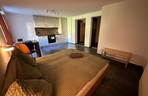 Wassen Apartment | Hotel Krone