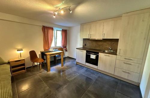 Wassen Apartment | Hotel Krone