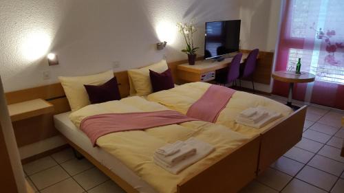 Spiez Hotel | Hotel Lötschberg