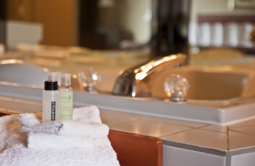 Longueuil Hotel | Hotel L'Express