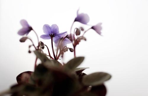 13th Arrondissement Hotel | Hotel La Manufacture