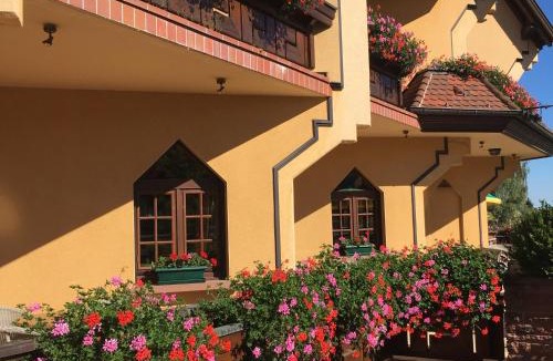 Mittelwihr Hotel | Hotel Le Mandelberg