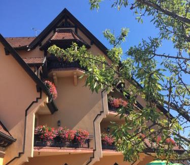 Mittelwihr Hotel | Hotel Le Mandelberg