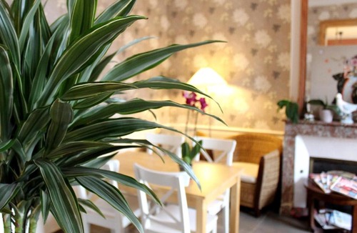 Illiers-Combray Hotel | Hotel Les Aubépines