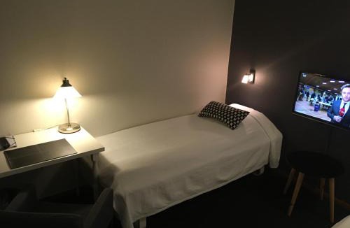 Nykobing Falster Hotel | Hotel Liselund