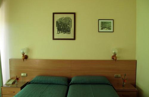 Puigcerda Hotel | Hotel Martinez