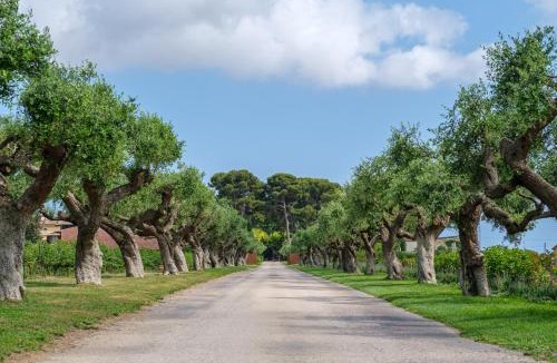 Tarragona Hotel | Hotel Mas La Boella