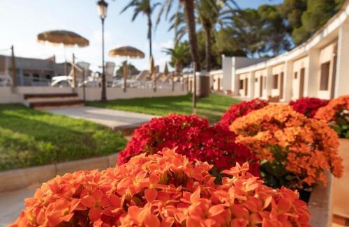Dehesa de Campoamor Hotel | Hotel Montepiedra 4'sup