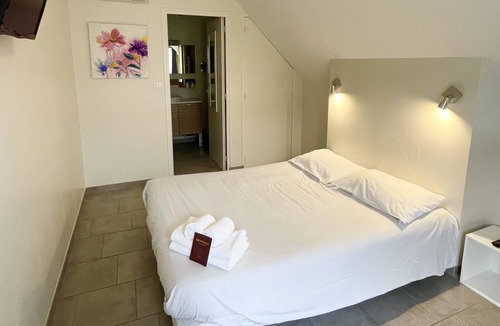 Sauvagnon Hotel | Hotel NEMO