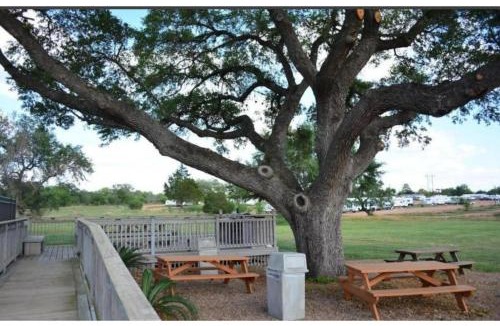 Cuero Hotel | Hotel O Executive Inn & Suites Cuero Hwy 87