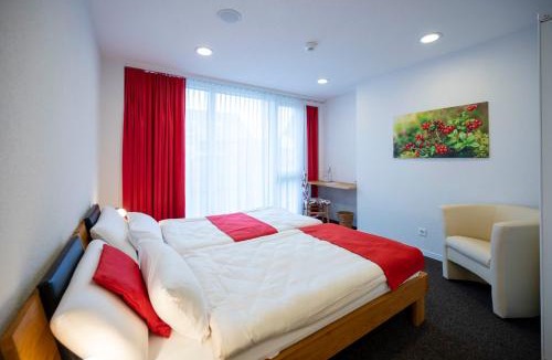 Rapperswil Hotel | Hotel Ochsen Rapperswil/BE