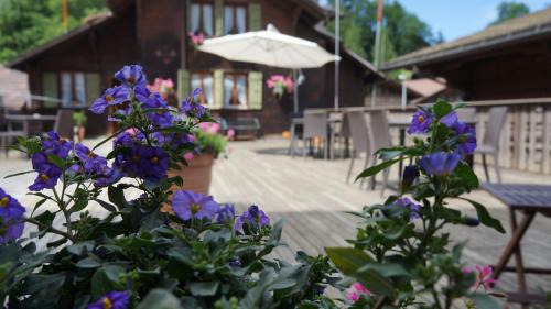 Zweisimmen Nr Gstaad Hotel | Hotel Olden