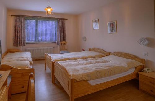 Saas Almagell Hotel | Hotel Olympia