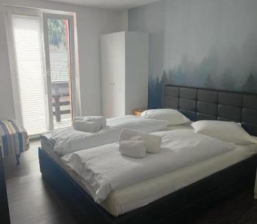 Fiesch Hotel | Hotel Park