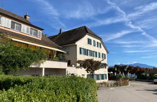 Freienbach Hotel | Hotel PUR Hurden