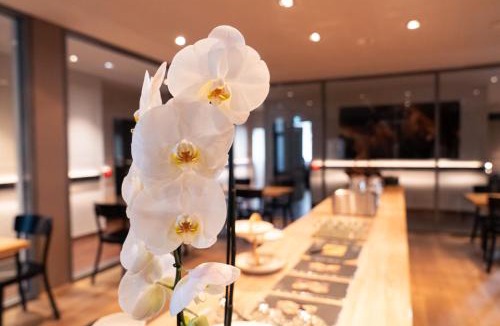 Pfaffikon District Hotel | Hotel Quers Inn