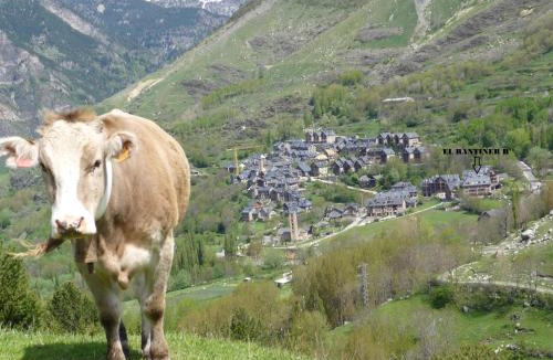 Taull Hotel | Hotel Rantiner
