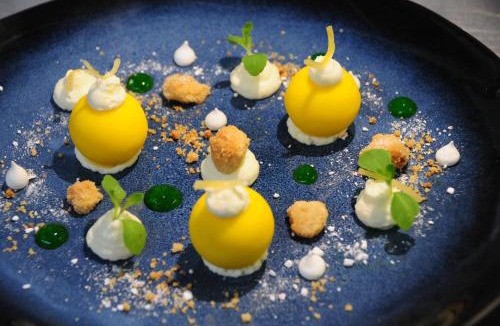 Olivet Hotel | Hotel Restaurant Pavillon Bleu