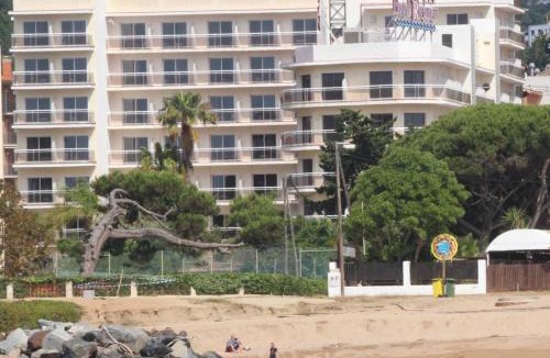Malgrat de Mar Hotel | Hotel Reymar