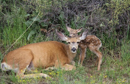 Winthrop Hotel | Hotel Rio Vista