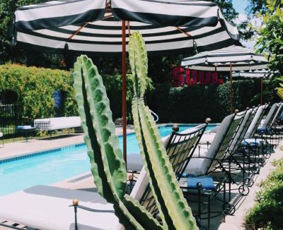 Travis Heights Hotel | Hotel Saint Cecilia