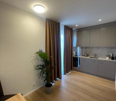 Fischingen Apartment | Hotel Swiss Bellevue Oberwangen