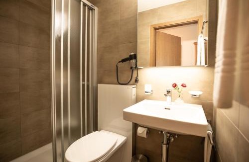Flums Hotel | Hotel Tannenboden - Steinbock