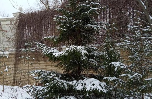 Nizhniy Novgorod City Centre House | Hotel U Domika Petra