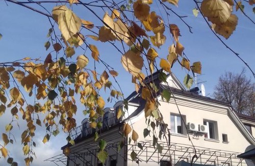 Nizhniy Novgorod City Centre House | Hotel U Domika Petra