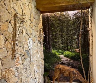 Rialp Hotel | Hotel Victor